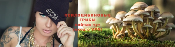 каннабис Вязьма