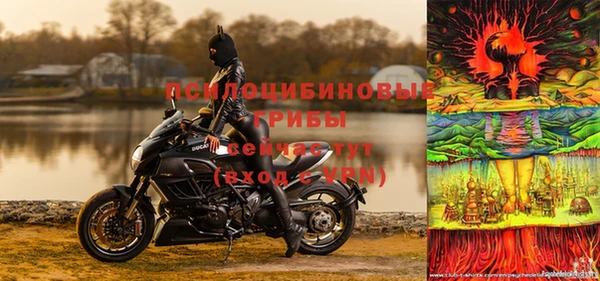 тгк Сясьстрой