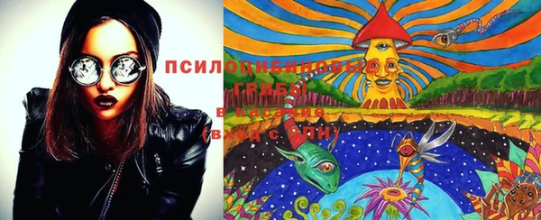 mdpv Тавда